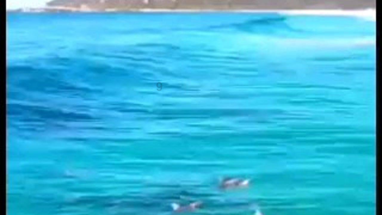 萌萌大眼公主